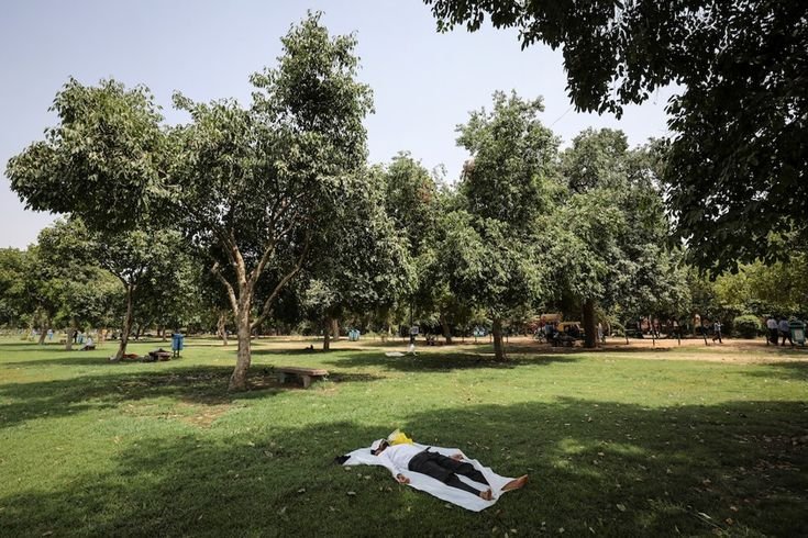 Trees Improve Air Quality