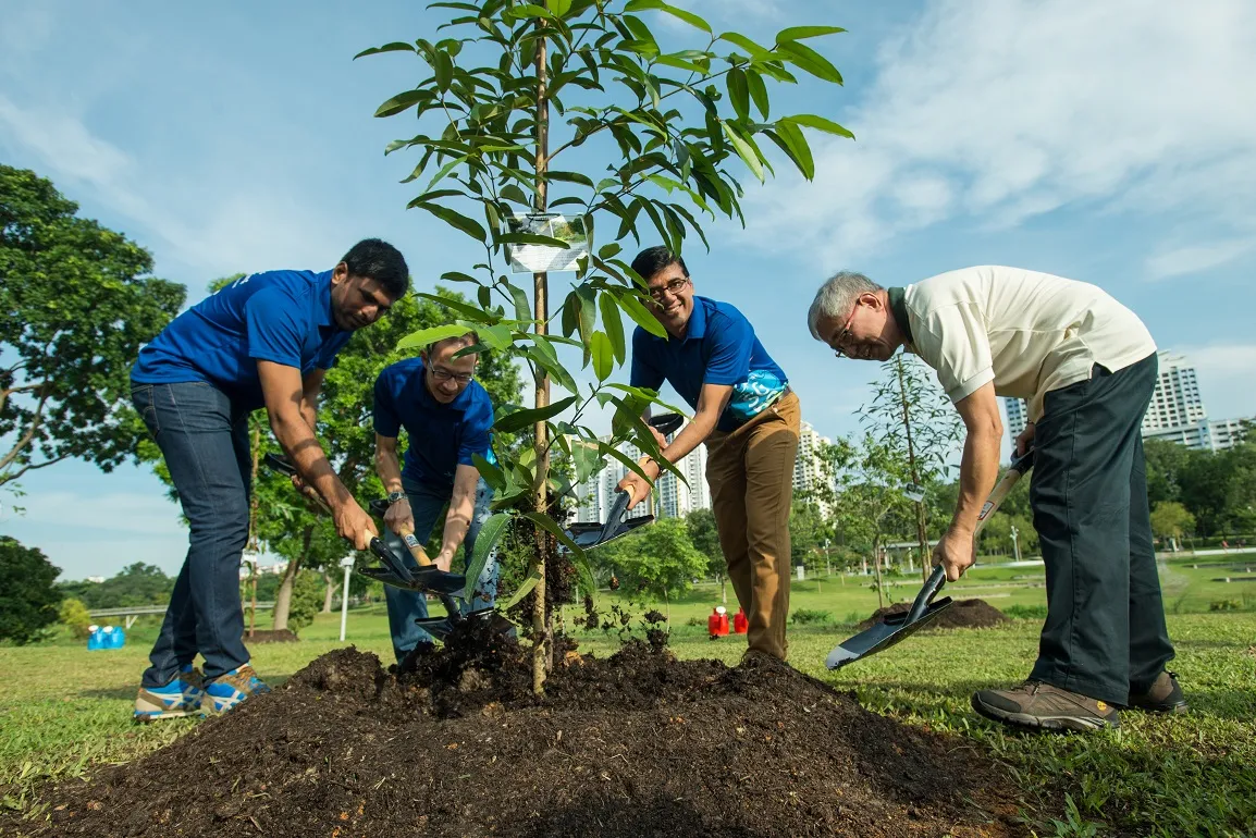 Soil Health Is the Foundation